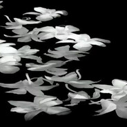 ᚹ{{VL}}ᛚ The Hell