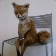 XO39UH