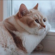 Нечестный бот