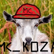 CERR17