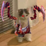 (与)