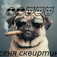 [why] сеня сквиртик