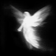 Noktol