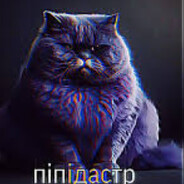 5582 поряды