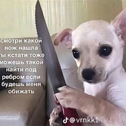 СТИЛЬ СОБАЧКИ