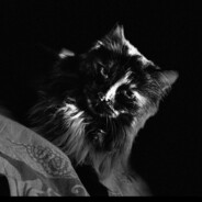 Кошмаррр