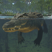 Crocodile