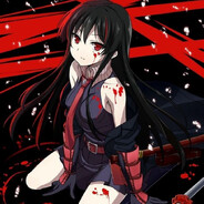 Akame Ga Kill