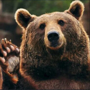 [paw]Hesh13