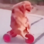 456