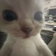 ВОлоСнявЫй ЖуЖИк