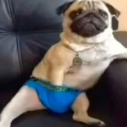 [ZH]Туго Серя