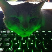 meow