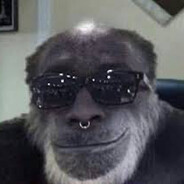 monkey