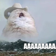 AAAAAAAAAAAAA
