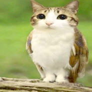 meowl