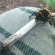 Шмаль