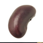 bob1