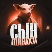 СЫН ШЛЮХИ