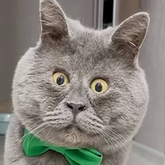 Кот - даун Федя