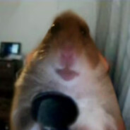 Хомяк