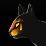 !$-DrMoriss-$!