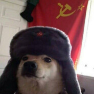 Super_Doge_Prostoj