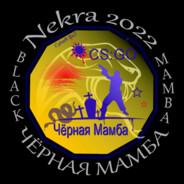 Black Mamba