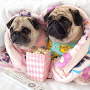 Мопсик #FlameRust