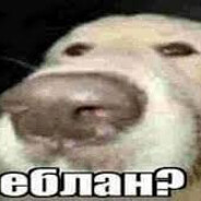 Egoiste. Z1Her