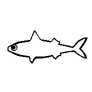 The_Fish
