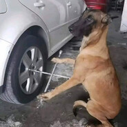 ?
