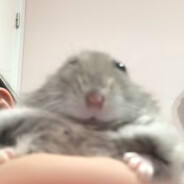 Zidrek