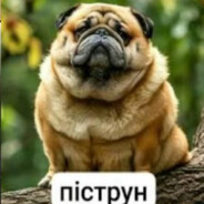 катаракта Prostoj