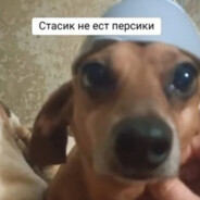 Стасик не ест 🍑