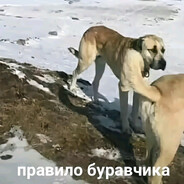Молния Максвин