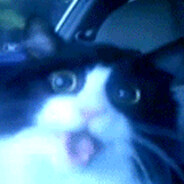 бубылда прайм