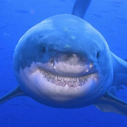 Big Shark