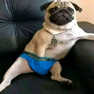 HQII'm Pudge