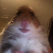 Grood