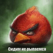 Киловатт Капусты