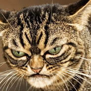 ꧁༒☬YahYeet☬༒꧂