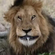 Картошко Хуяшко