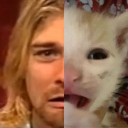 Kurt Cobain