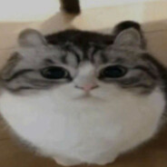 Xinezan