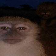 донор какашек