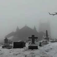 дороже дорог соли