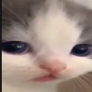 MoNnsh