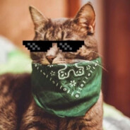 NA VI я кот
