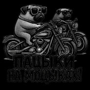 Пацыки на моцыках